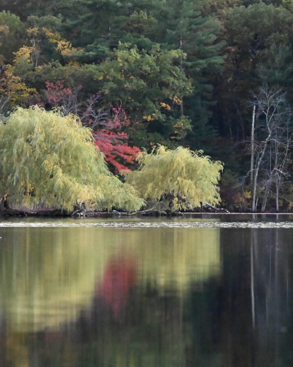 Quiet October on Horn Pond